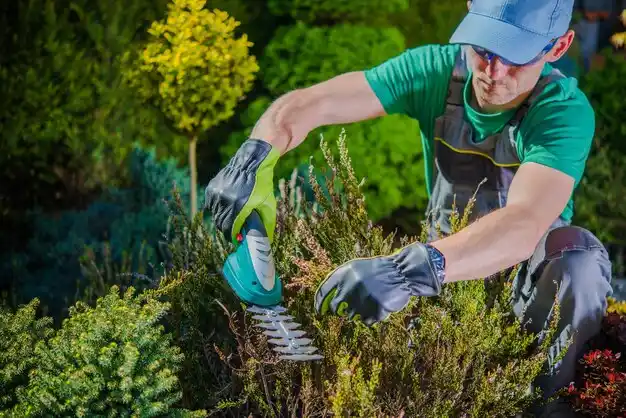 landscaping services Sorrel